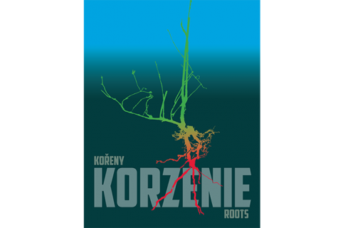Graphics: cover of the catalogue Roots