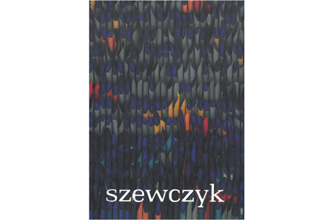 Okładka katalogu: Andrzej Szewczyk. Artysta jest argumentem